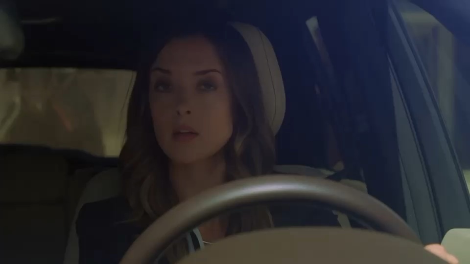 Lights Camera Action